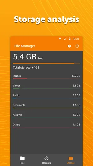 Simple File Manager Pro